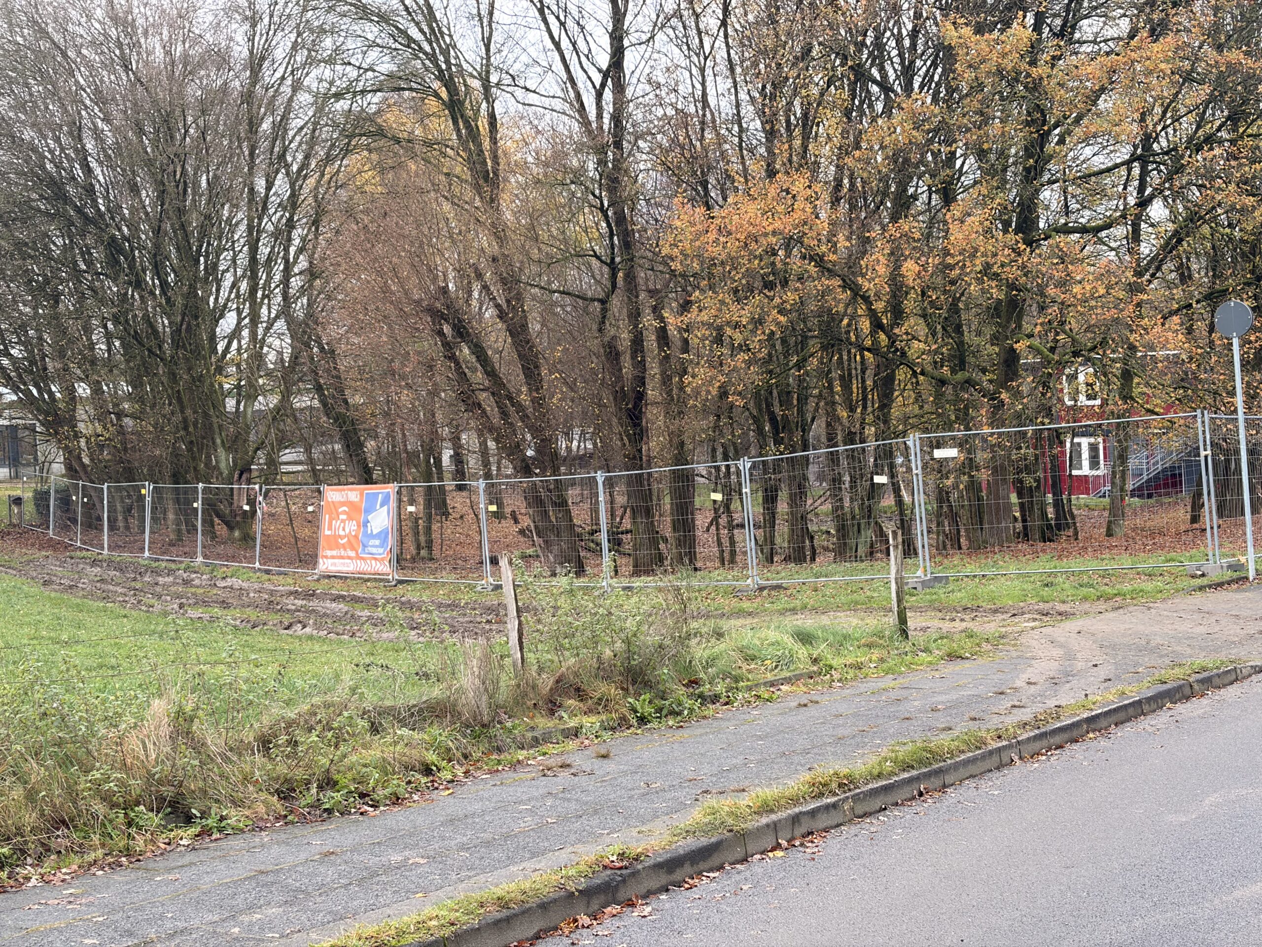 Bauzaun zum Schutz der Baumschützer?
