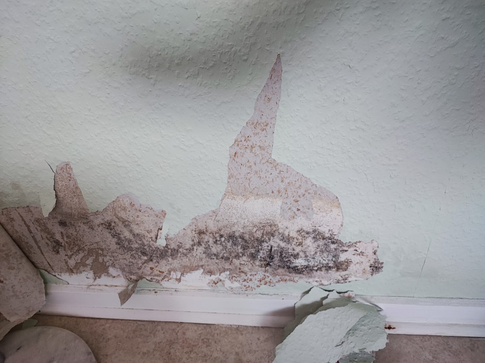 Anfrage zur Sitzung des Rates am 11.12.2025 Unzumutbare Wohnverhältnisse